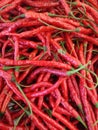 Cabai merah or red chilli on a market Royalty Free Stock Photo