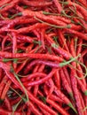 Cabai merah or red chilli on a market