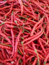Cabai merah or red chilli on a market Royalty Free Stock Photo