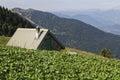 Cabane pastorale du Colon. Royalty Free Stock Photo