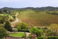 Cabardes AOC wine region in France Royalty Free Stock Photo