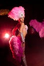 Cabaret dancer Royalty Free Stock Photo