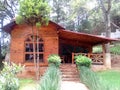 Cabana rustica de madera en medio del bosque