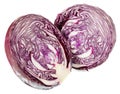 Cabbage Royalty Free Stock Photo