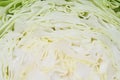 Cabbage Royalty Free Stock Photo