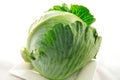 The Cabbage