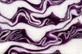 Cabbage background