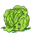 Cabbage beauty character cartoon illustration