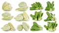 Cabbage and Bok choy vegetable on white background Royalty Free Stock Photo