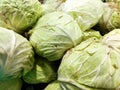Cabbage can be eaten raw or cooked beforehand