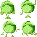 Cabbage cartoon with legs and hand gesture - vector