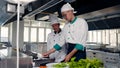 Cabbage Chef, Fast Chef to teach students in cooking class Amazing while practicing after the demonstration. The chef Royalty Free Stock Photo