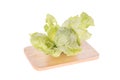 Cabbage on chopping board white background Royalty Free Stock Photo
