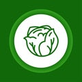 Cabbage color button icon. Healthy, organic food