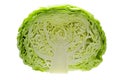 Cabbage cut in half