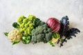Cabbage of different varieties on a light background Royalty Free Stock Photo