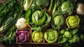 Cabbage of different varieties and types, flatlay vegetables, a banner filled with products