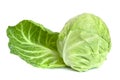 Cabbage with drops of water isolated on white background Royalty Free Stock Photo