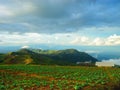 Cabbage farm at Phu Tub Berk.