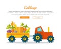 Cabbage Farm Web Vector Banner in Flat Design.