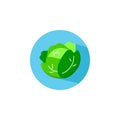 Cabbage flat icon