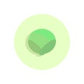 Cabbage flat icon. Round colorful button, circular vector sign,