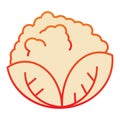 Cabbage flat icon. Vegan food orange icons in trendy flat style. Vegetable gradient style design, designed for web and