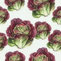 Cabbage Flowers Pattern on White Background Royalty Free Stock Photo