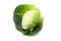 Cabbage with green large leaves grows Royalty Free Stock Photo