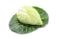Cabbage with green large leaves grows isolate Royalty Free Stock Photo