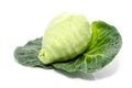 Cabbage with green large leaves grows isolate Royalty Free Stock Photo