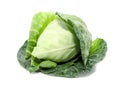 cabbage with green large leaves grows Royalty Free Stock Photo
