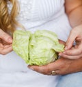 Cabbage is in the hands. Royalty Free Stock Photo