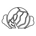 Cabbage icon black color illustration flat style simple image Royalty Free Stock Photo