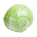 Cabbage isolate on a white background. Vegetable, cabbage Royalty Free Stock Photo