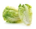 Cabbage