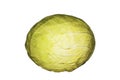Cabbage isolated on white background. Whole cabbage on a white background. Royalty Free Stock Photo