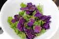 Cabbage Kale and Balsamic Salad Royalty Free Stock Photo