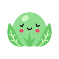 Cabbage cute kawaii style vegetable character vector illustration