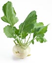 Cabbage kohlrabi