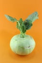 Cabbage kohlrabi