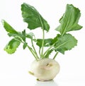 Cabbage kohlrabi on a white