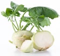 Cabbage kohlrabi on a white
