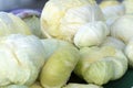 Cabbage kraut for sale at the market Royalty Free Stock Photo