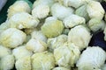 Cabbage kraut for sale at the market Royalty Free Stock Photo