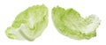 Cabbage leaf isolated Royalty Free Stock Photo