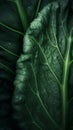 cabbage leaves pattern photorealistic close-up, ai generation