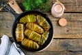 Cabbage leaves stuffed with rice, minced meat in tomato sauce. Royalty Free Stock Photo
