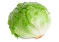 Cabbage lettuce Royalty Free Stock Photo