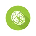 Cabbage or lettuce icon vector. illustration of cabbage or lettuce isolated on green circle. healthy vegetable, nutrition icon